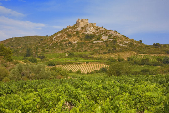 roussillon : chateau cathare d'aguilar