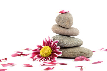 Obraz na płótnie Canvas zen spa stones with flowers studio isolated