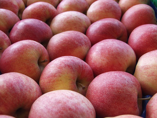 Apples