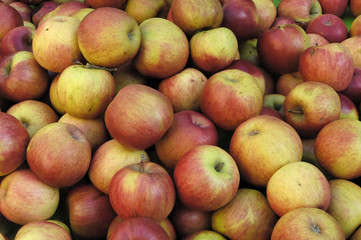 pommes