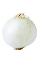 White Onion