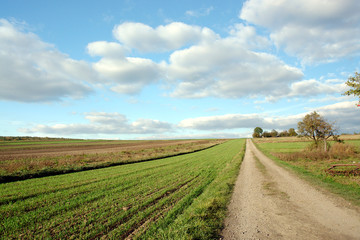 Fototapeta na wymiar Kraj drogi prowadzącej do linii horyzontu