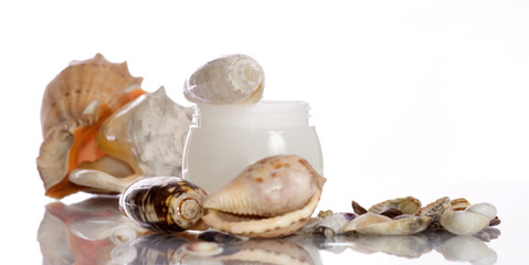 Cosmetics sea cream and shells on the white background
