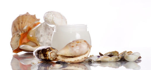 Cosmetics sea cream and shells on the white background