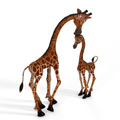 Rendered Image of a really cute giraffe.- with Clipping Path
