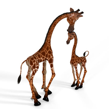 Rendered Image of a really cute giraffe.- with Clipping Path