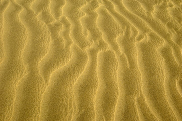 Fototapeta na wymiar wave pattern background in the sand