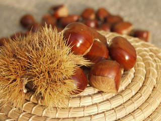 castagne