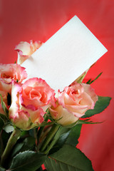 Roses with blank visiting card for your own text