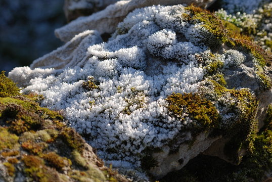 froid et hiver