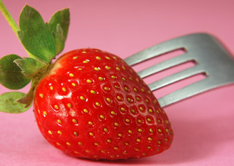 A fresh strawberry on a pink background.