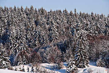 Paysage de montagne sous la neige en hiver (Savoie)
