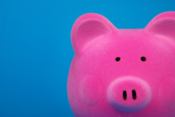 A piggy bank on blue background.