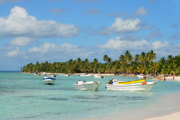 Fototapeta na wymiar Seona wyspa tropikalna plaża z łodzi, palmy