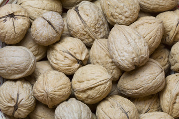 tasty walnuts pattern as a background