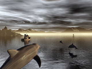 delfines © juanjo