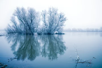 Photo sur Plexiglas Hiver winter landscape scene