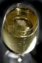 champagne on flute glass, close up