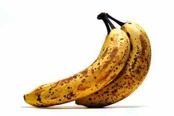 Aging Bananas © luSh