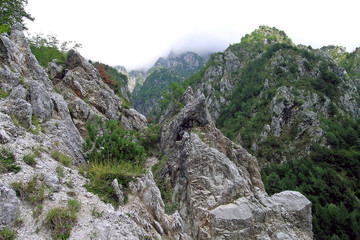 Fototapeta na wymiar fra le rocce in montagna 