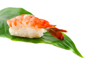 sushi. Isolation on a white background.