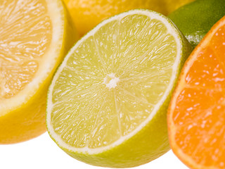 citrus fruits slices