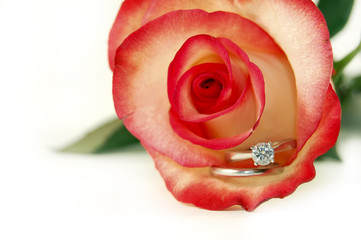 Vibrant Rose and Ring