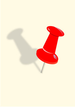 punaise rouge