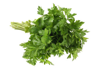 Fresh parsley vegetable isolated on white background
