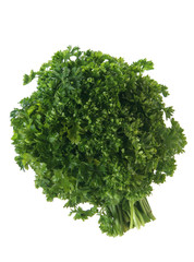 Fresh parsley vegetable isolated on white background