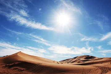 Foto op Canvas Sahara desert_001 © Galyna Andrushko