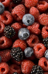 red raspberries, blueberries and blackberries texture