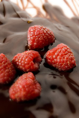 raspberries and chocolate sauce still life 