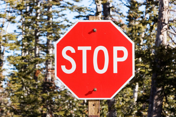 Stop sign on a road