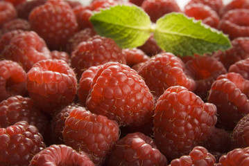 red raspberries texture with a mint leaf