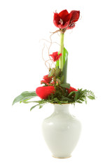 Bunch of flowers on a white background.