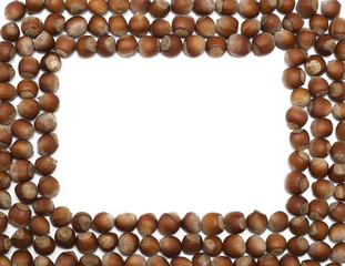 hazelnut frame over white background