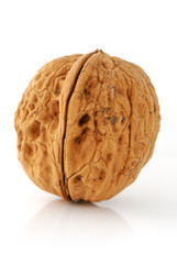 Walnut