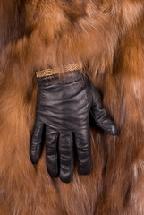 rich hands