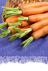 fresh carrots
