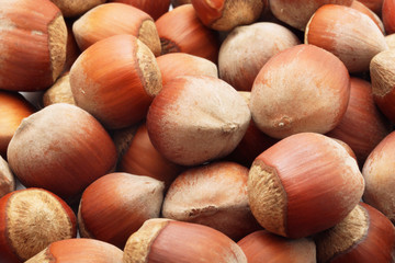 Close-up of the unshelled hazelnuts