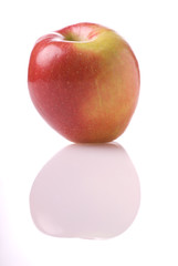 fresh fruit