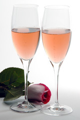 Pink Champagne and Rose
