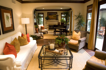 Luxury home living room with contemporary decor.