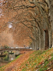 Canal du Midi