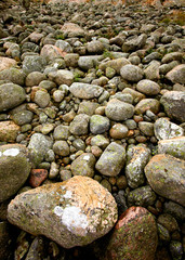 A rock background texture