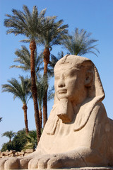 Sphinx, Luxor
