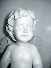 Boy Angel