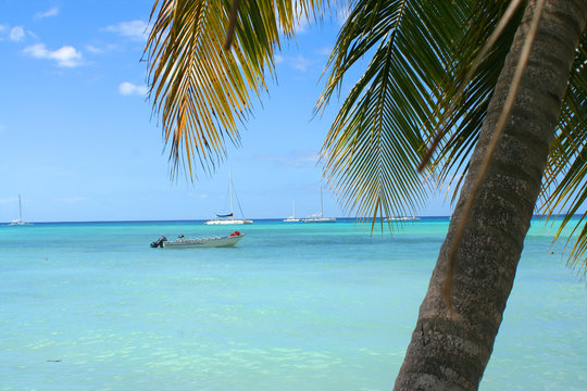 Ocean With Boat On The Caribbean Shore Of Bavaro Beach, 