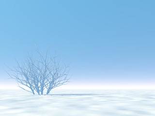 White winter scene